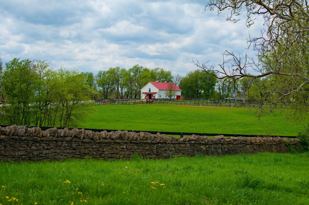 Beautiful view of horse farm in Lexington, Kentucky, reflecting Clear to Launch's dental marketing services.