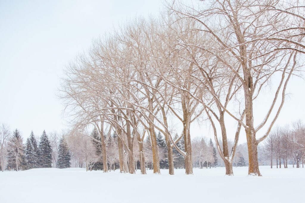 Fargo, North Dakota, highlighting Clear to Launch's dental marketing solutions.