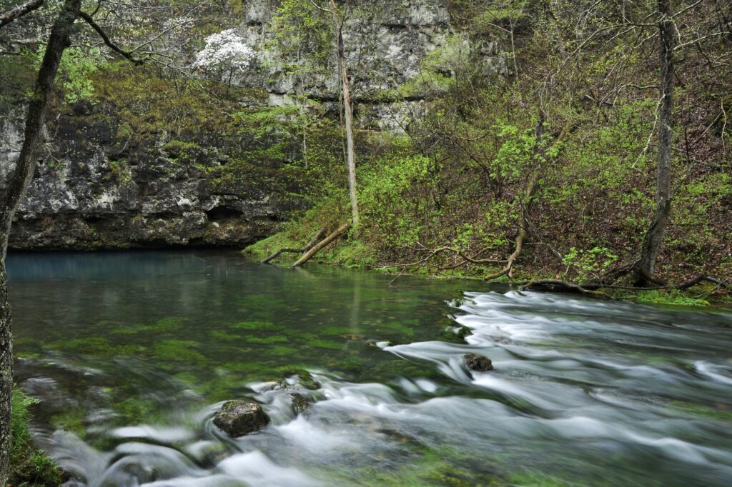 Springfield, Missouri, river, showcasing Clear to Launch's expertise in dental marketing.