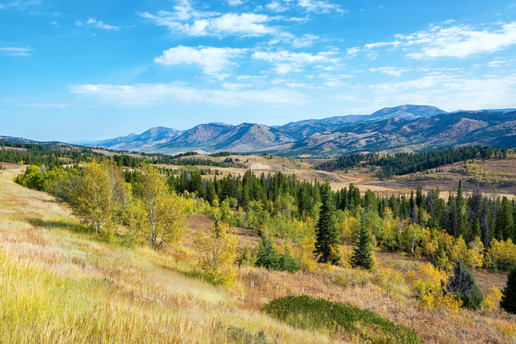 Landscape near Cheyenne, Wyoming, symbolizing Clear to Launch's mastery in dental marketing.