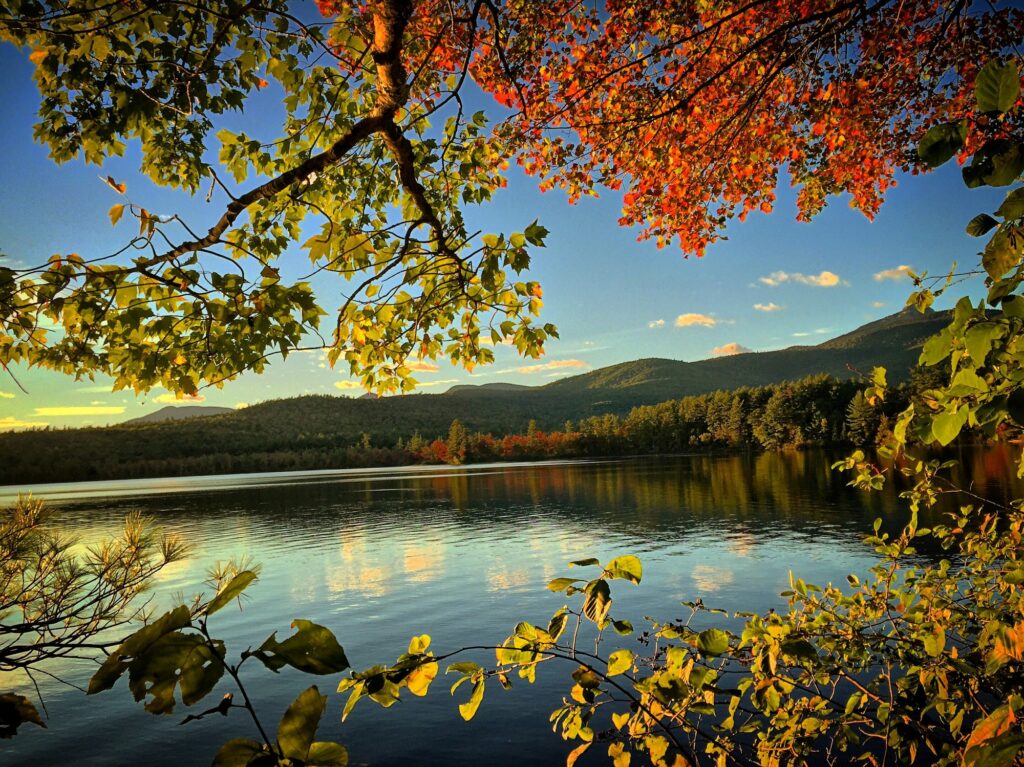 ibrant autumn foliage during leaf peeping season in Concord, NH, USA, highlighting the picturesque beauty of New Hampshire and Clear to Launch Dental Marketing' strategic dental marketing initiatives tailored for Concord dental practices.