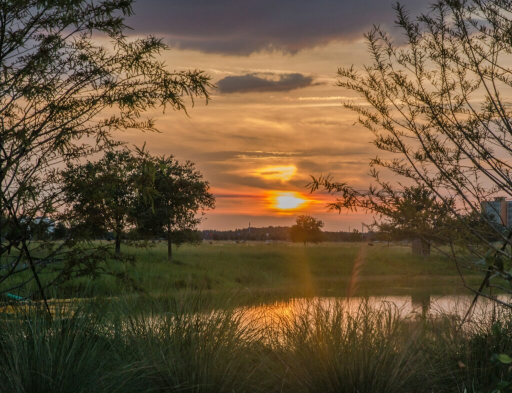 Spectacular sunset over a tranquil pond in rural Kansas near Kansas City, Kansas, symbolizing the serene and promising landscape for dental marketing strategies by Clear to Launch Dental Marketing for Kansas City dental practices.